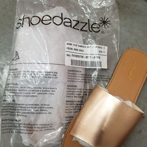 Shoe dazzle flats